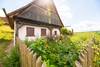 Gebäudeansicht mit Bauerngarten im Thüringer Freilichtmuseum Hohenfelden